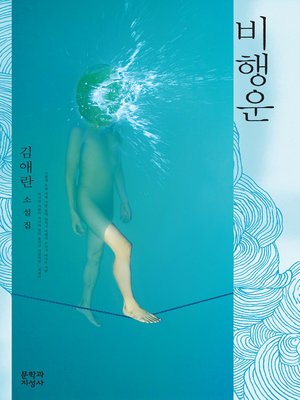 cover image of 비행운